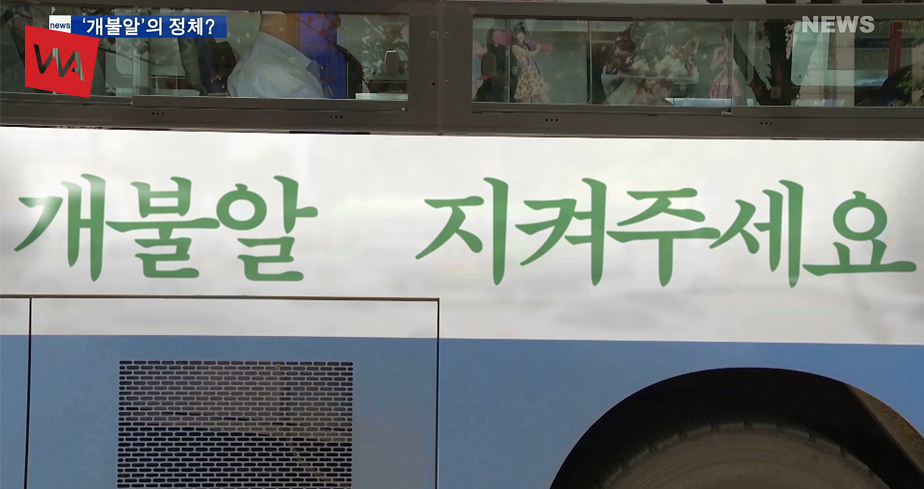 상단이미지