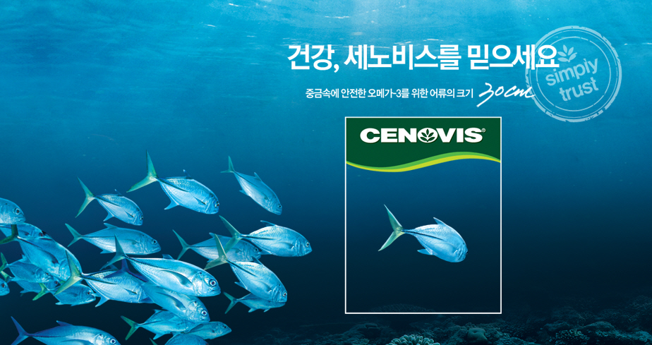 상단이미지