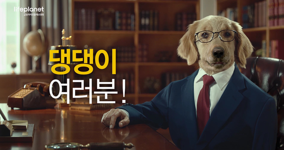상단이미지