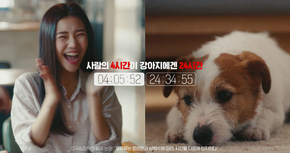 상단이미지